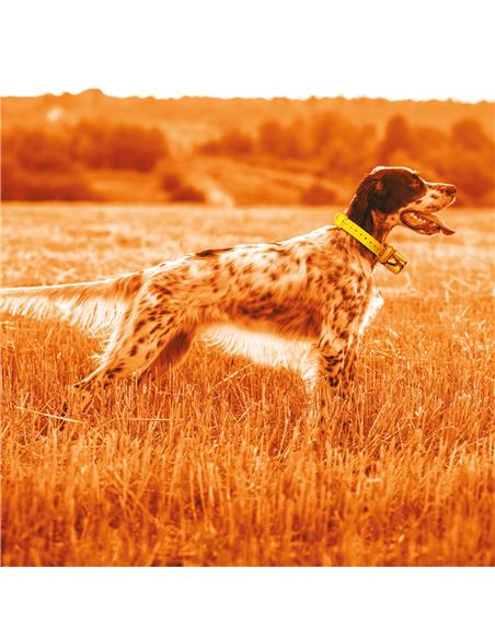 MIDLAND BEEPER ONE GPS Pack localizador + Collar
