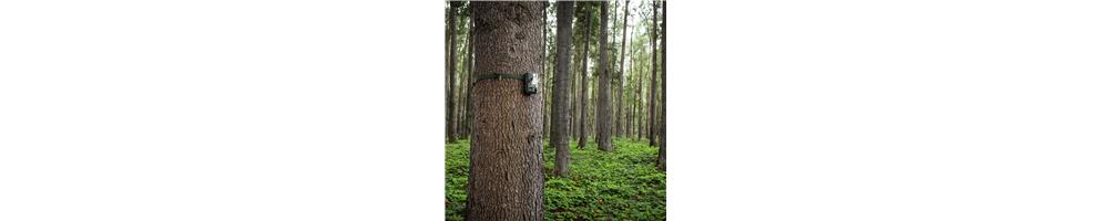 Cámaras trampa bosque